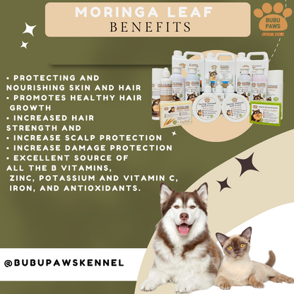 BUBU PAWS HEALING OINTMENT BALM FOR TICKS & Fleas For Wounds for pet