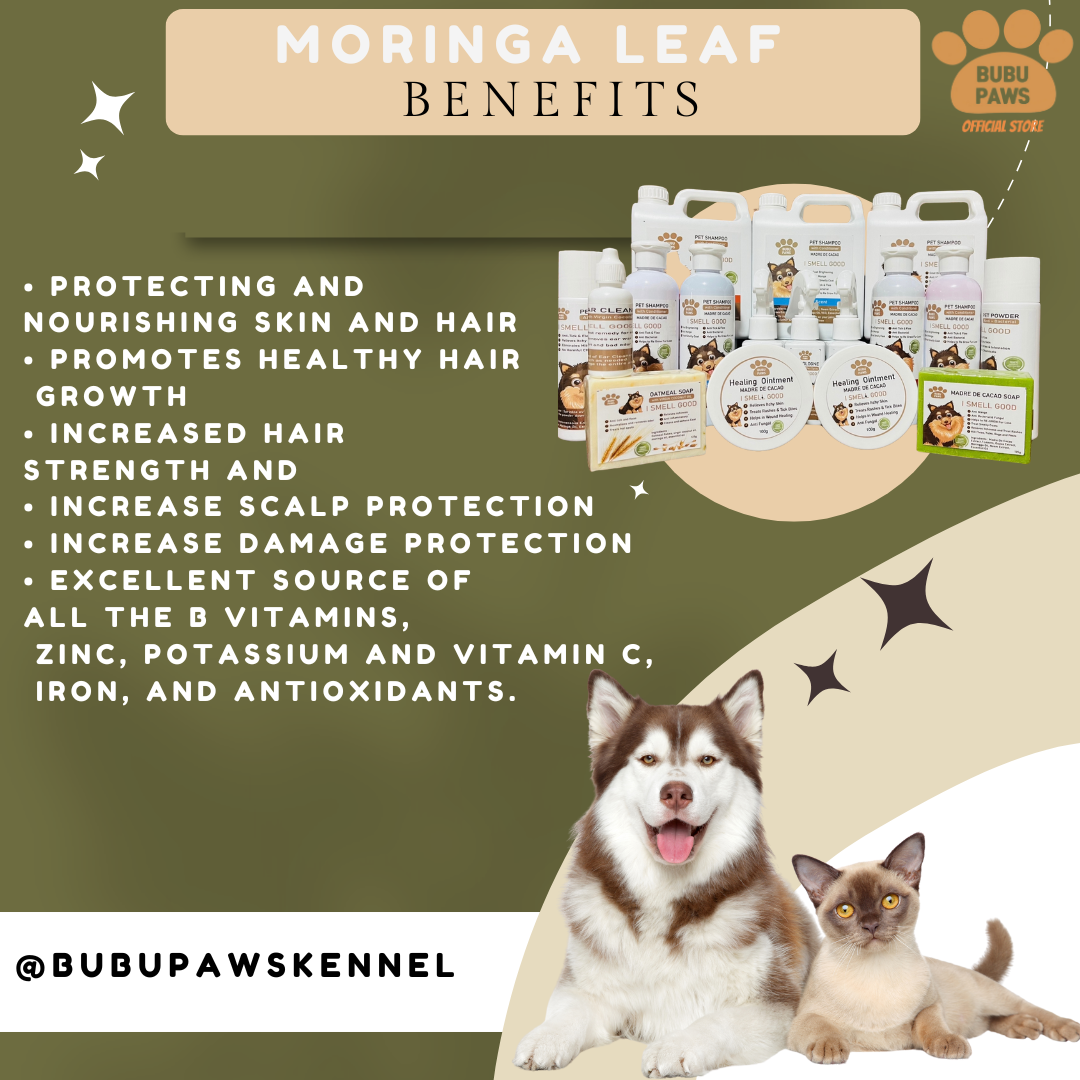 Bubu Paws Pet Powder: Powerful Protection Against Bacteria & Pests /for a Shiny, Clean Coat